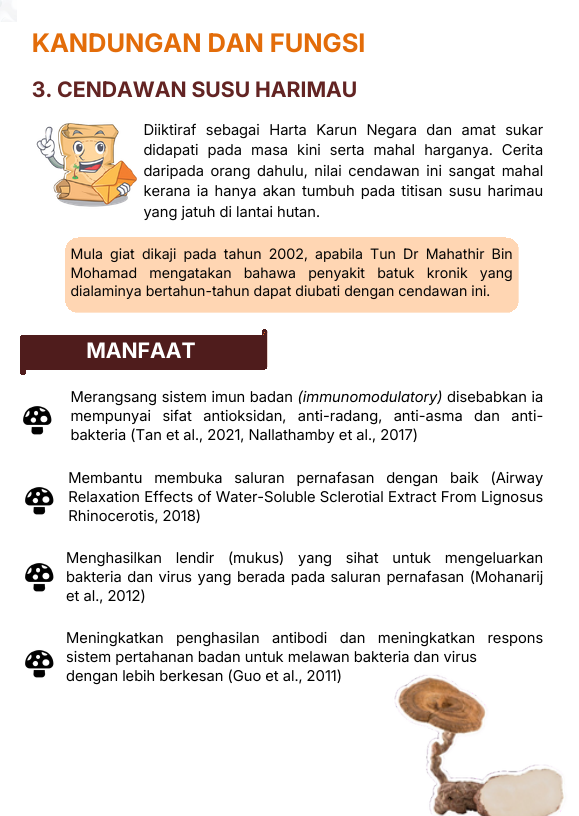 Cendawan Susu Harimau