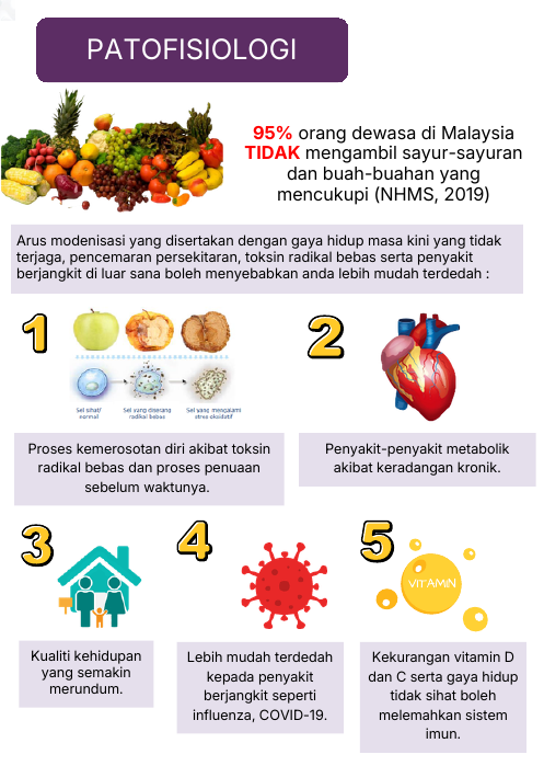 Patofisiologi Sistem Imun