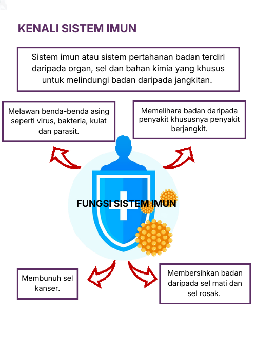 Kenali sistem imun