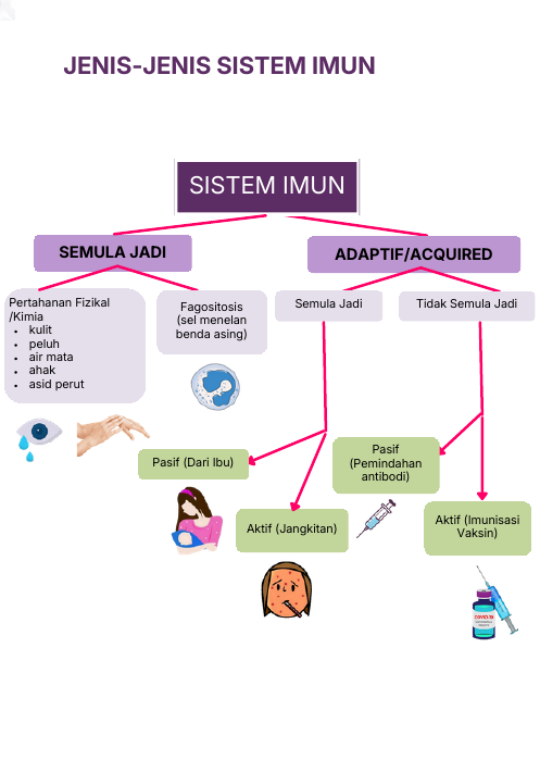 Jenis-jenis sistem imun