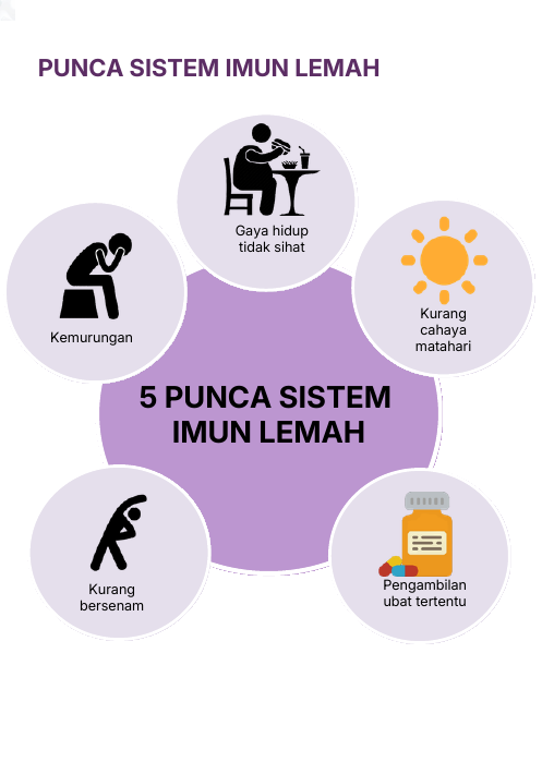 Golongan Yang Berisiko Mempunyai Sistem Imun Lemah