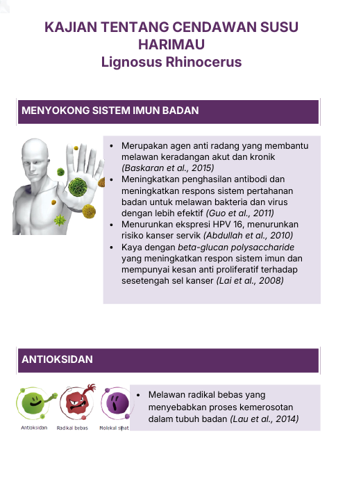 Kajian Cendawan Susu Harimau - sistem imun dan antioksidan