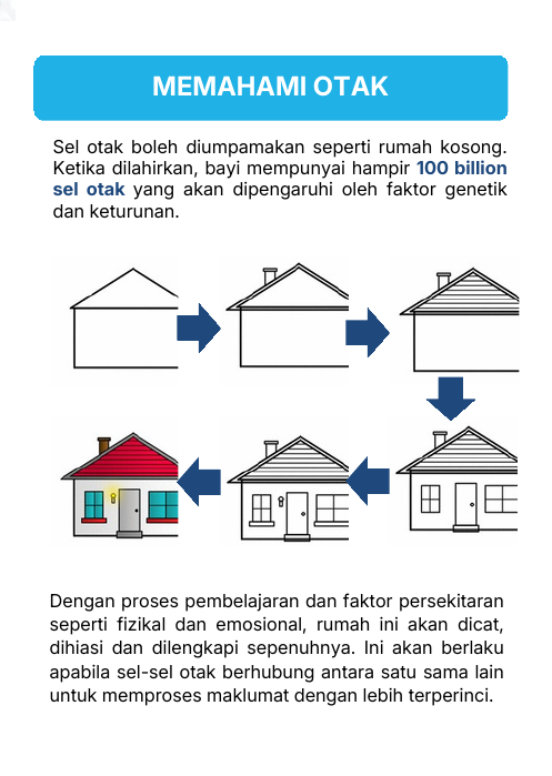 Memahami Otak