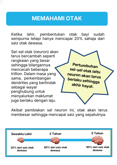 Pertumbuhan otak bayi