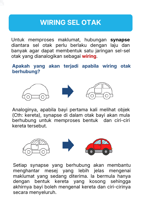 Bagaimana wiring sel otak terbentuk