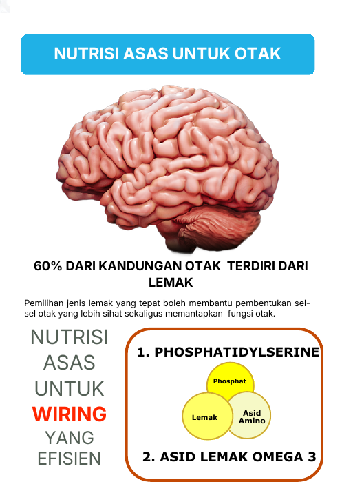 Nutrisi asas untuk otak