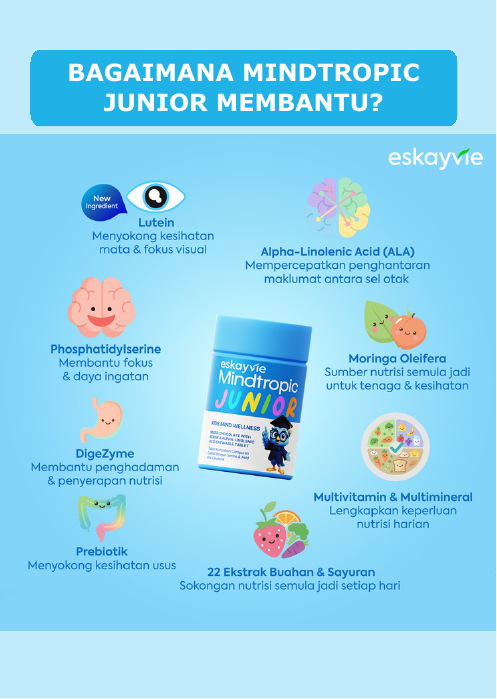 Bagaimana Mindtropic Junior Membantu?