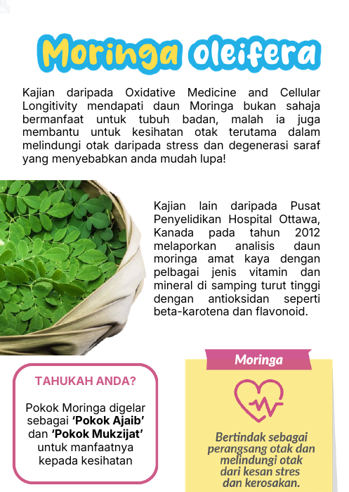 Moringa oleifera