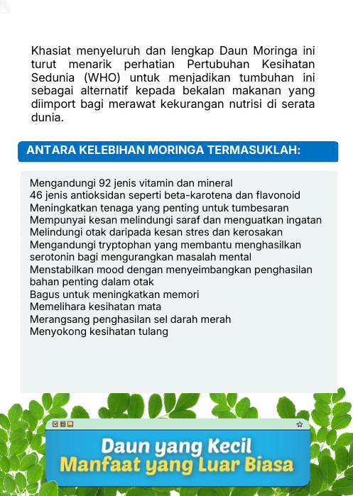 Kelebihan Moringa