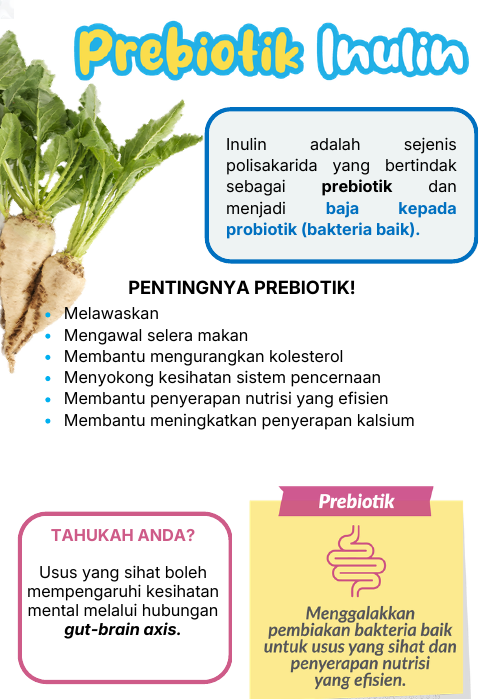 Prebiotik Inulin