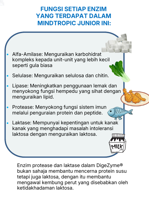 Fungsi setiap enzim DigeZyme®