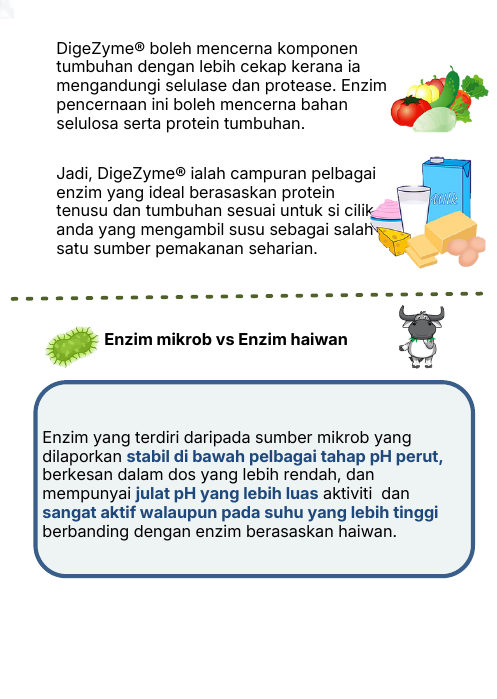 Enzim mikrob vs enzim haiwan