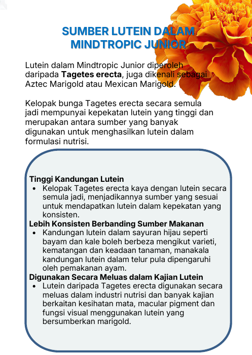 Sumber lutein dalam Mindtropic Junior