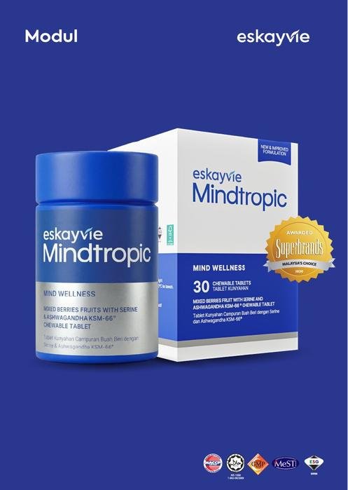Panduan Lengkap Eskayvie Mindtropic