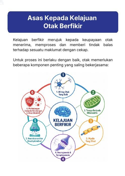 Asas Kepada Kelajuan Otak Berfikir
