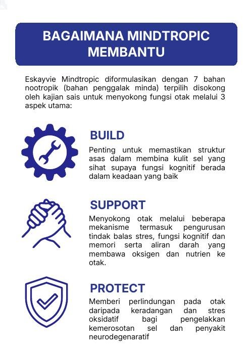 Bagaimana Mindtropic Membantu