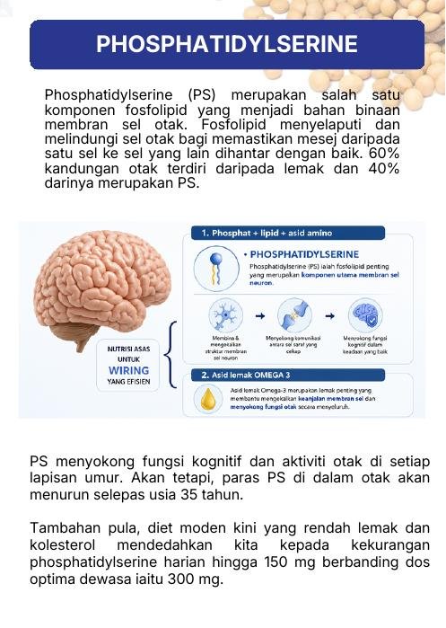 PS sebagai asas Build