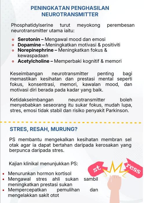 PS dan neurotransmitter