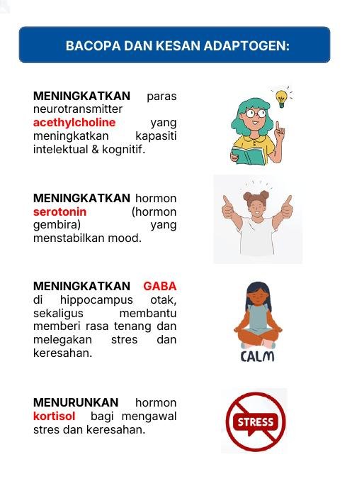 Bacopa dan kesan adaptogen