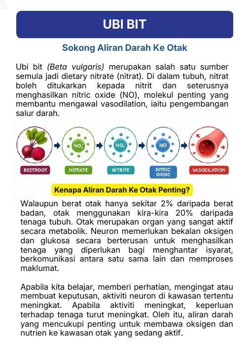 Ubi bit dan aliran darah ke otak