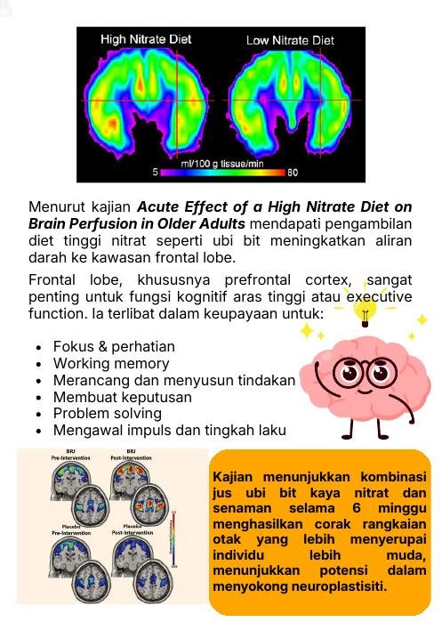 Ubi bit dan frontal lobe