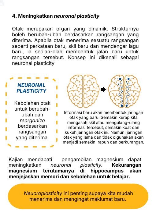 Magnesium dan neuronal plasticity