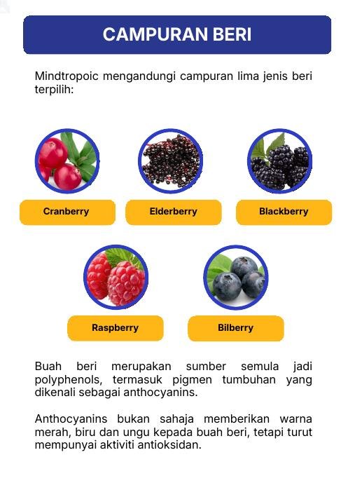 Campuran beri