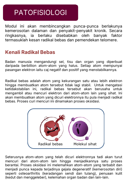 Patofisiologi
