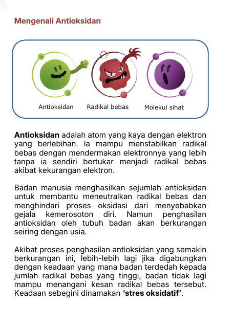 Mengenali Antioksidan
