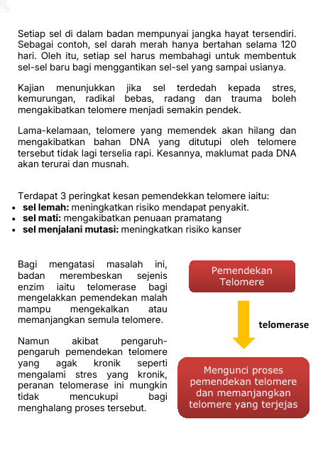 Kesan Pemendekan Telomere dan Peranan Telomerase