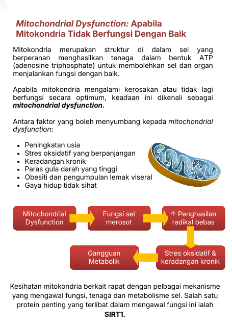 Mitochondrial Dysfunction
