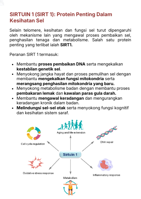 SIRTUIN 1 (SIRT1): Protein Penting Dalam Kesihatan Sel