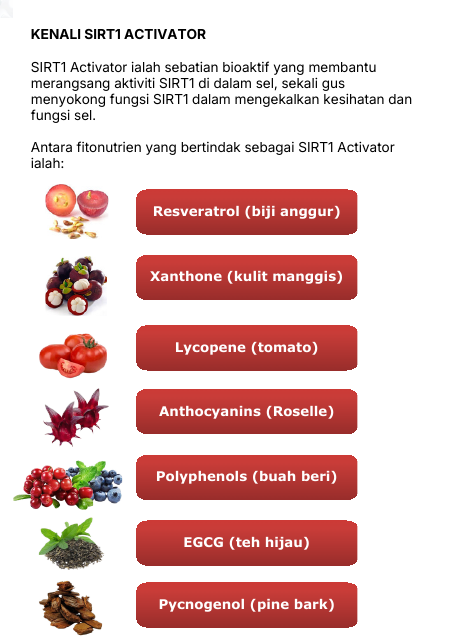 Kenali SIRT1 Activator