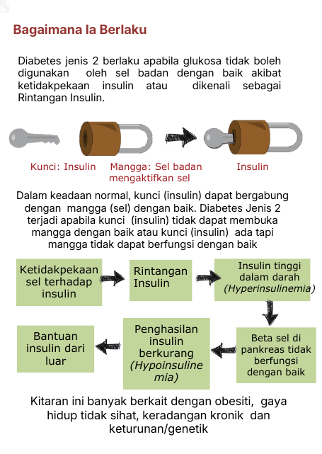Bagaimana Diabetes Jenis 2 Berlaku