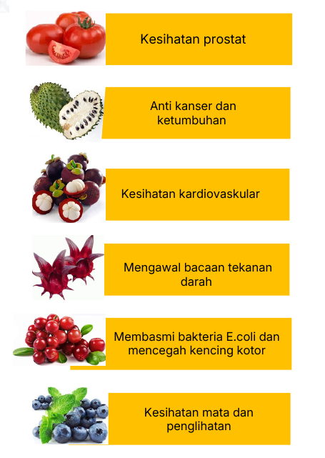 Fitonutrien dan Sokongan Kesihatan