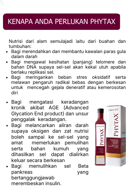 Nutrisi, Stres Oksidatif, Aliran Darah dan Sel Beta Pankreas